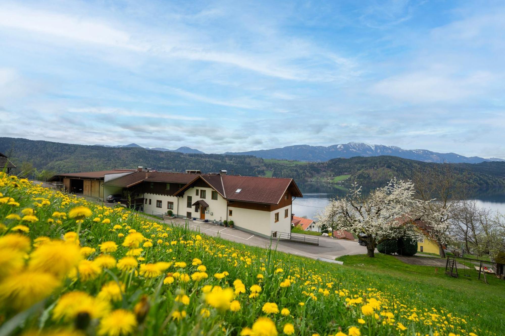 Fruehstueckspension Goetzfried-Hof Millstatt Eksteriør bilde